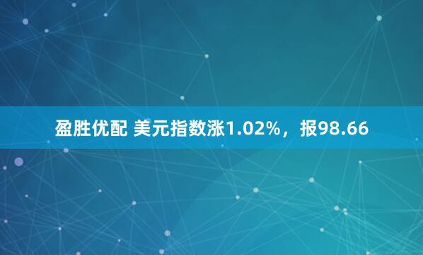 盈胜优配 美元指数涨1.02%，报98.66