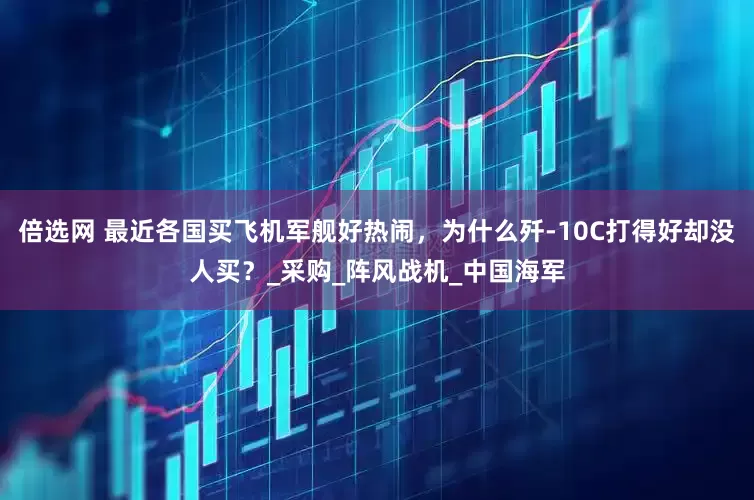 倍选网 最近各国买飞机军舰好热闹，为什么歼-10C打得好却没人买？_采购_阵风战机_中国海军