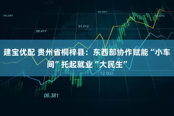 建宝优配 贵州省桐梓县：东西部协作赋能“小车间”托起就业“大民生”