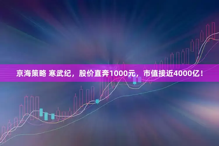 京海策略 寒武纪，股价直奔1000元，市值接近4000亿！
