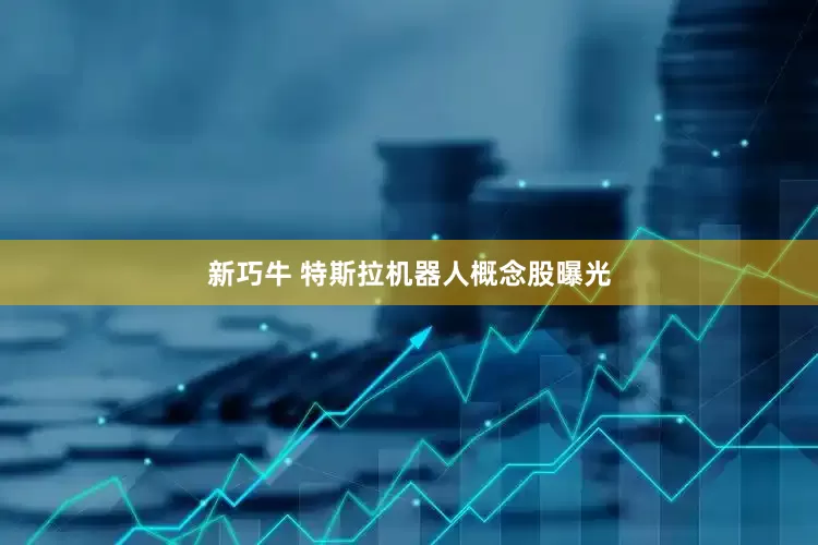 新巧牛 特斯拉机器人概念股曝光