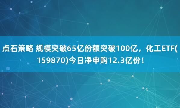 点石策略 规模突破65亿份额突破100亿，化工ETF(159870)今日净申购12.3亿份！