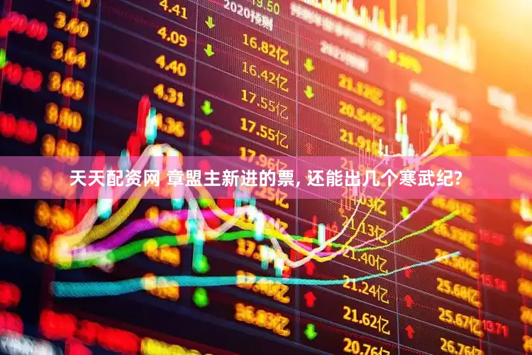 天天配资网 章盟主新进的票, 还能出几个寒武纪?