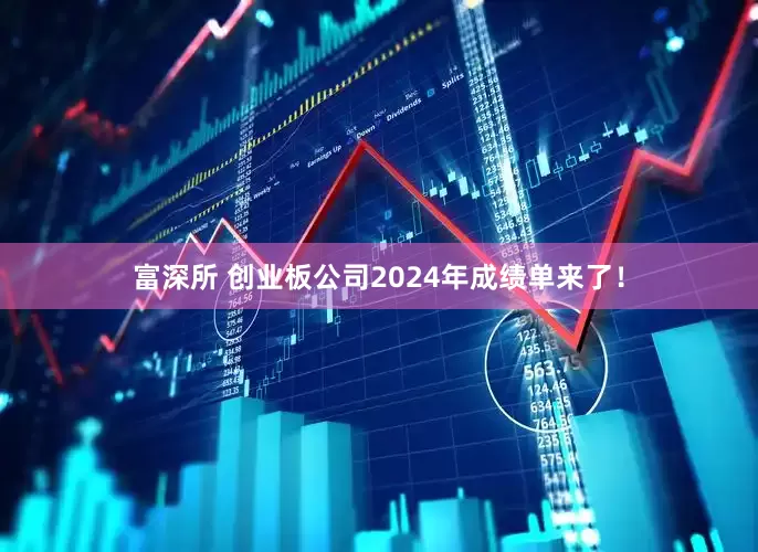 富深所 创业板公司2024年成绩单来了！