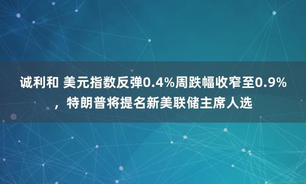诚利和 美元指数反弹0.4%周跌幅收窄至0.9%，特朗普将提名新美联储主席人选