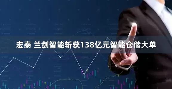 宏泰 兰剑智能斩获138亿元智能仓储大单